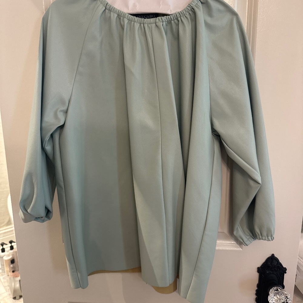 Dolce Cabo faux leather top